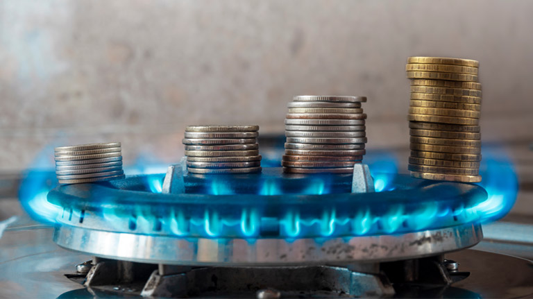 propane stove burner