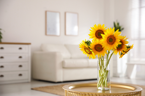 air conditioning Schenectady County, NY