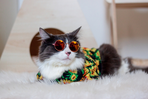 air conditioning Bennington County, VT